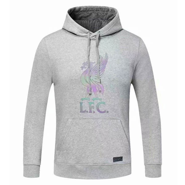 Sweat Shirt Capuche Liverpool 2020-21 Gris